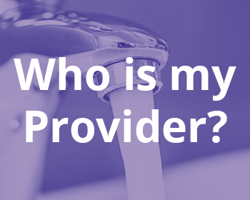 provider